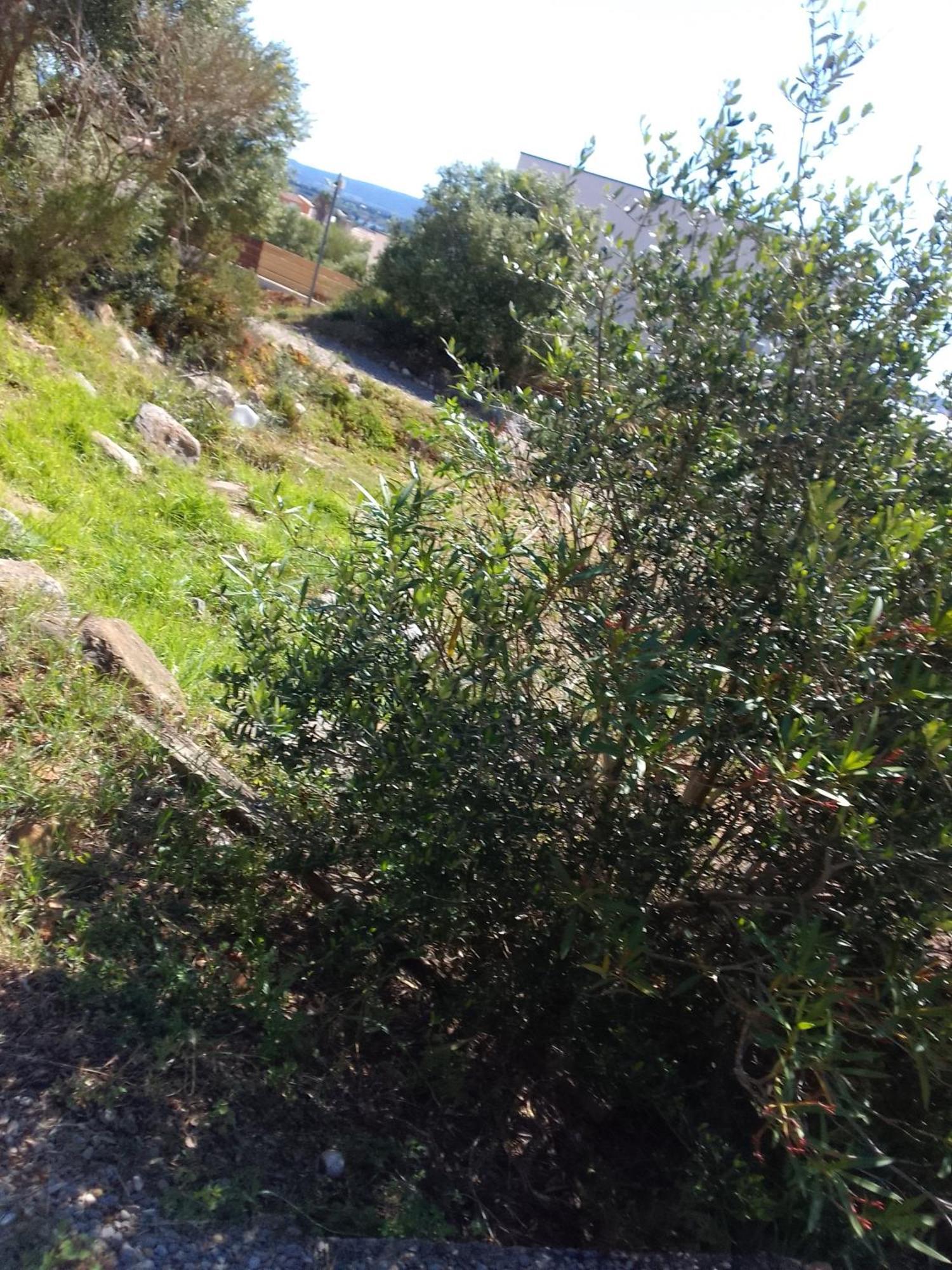Gite De L'Etang Proche Des Grands Buffets Narbonne Exteriér fotografie